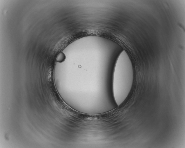 X0000103170502200808221131