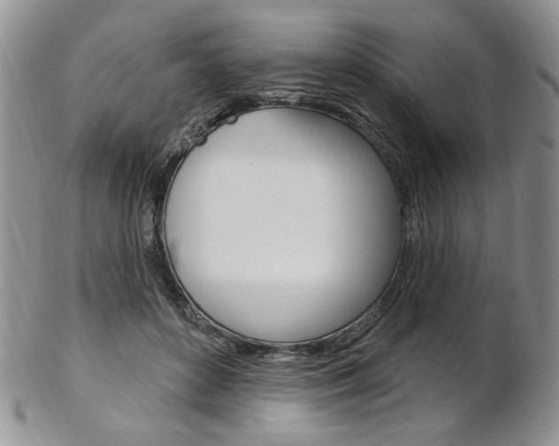 X0000103170504200808221131