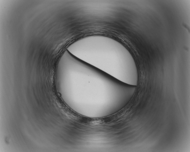 X0000103170505200808221131