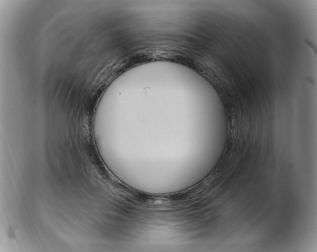 X0000103170506200808221131