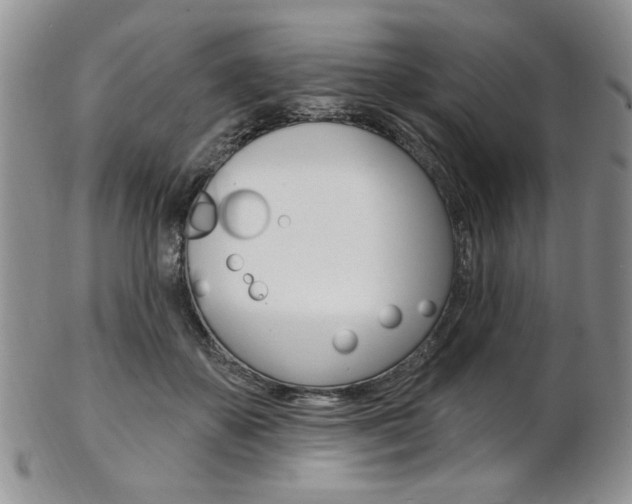 X0000103170507200808221131