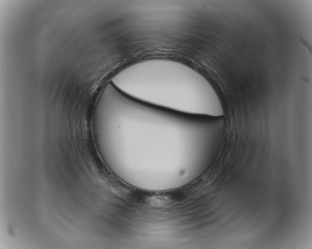 X0000103170508200808221131