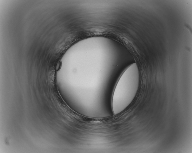 X0000103170509200808221131