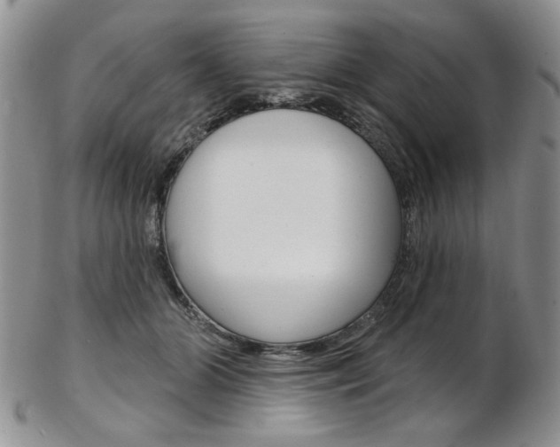 X0000103170510200808221131