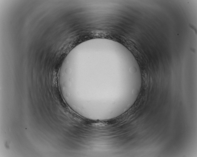 X0000103170511200808221131