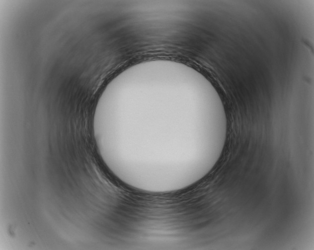X0000103170512200808221131