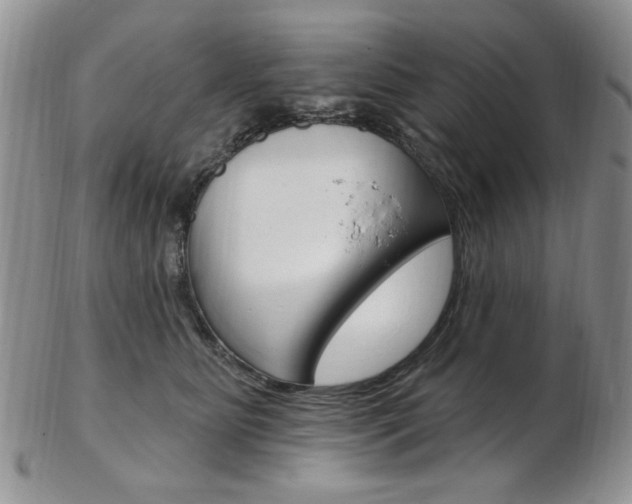 X0000103170515200808221131