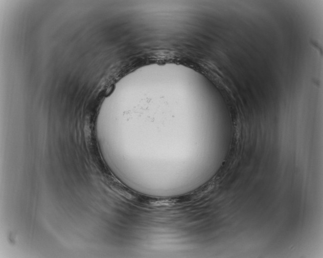 X0000103170516200808221131