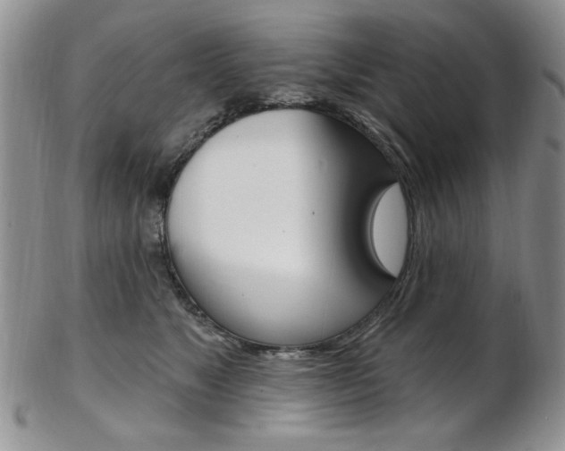 X0000103170517200808221131
