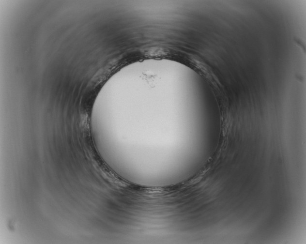X0000103170521200808221131