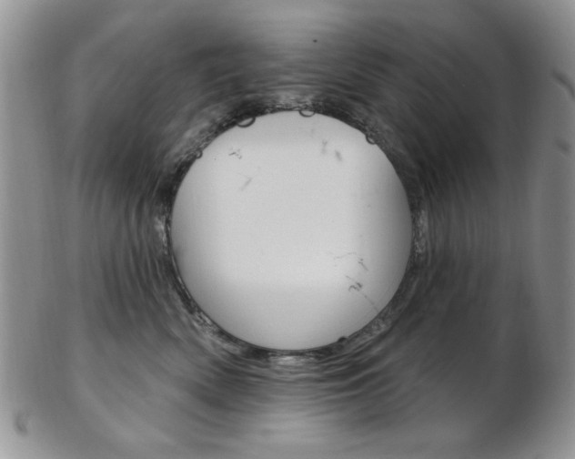 X0000103170522200808221131