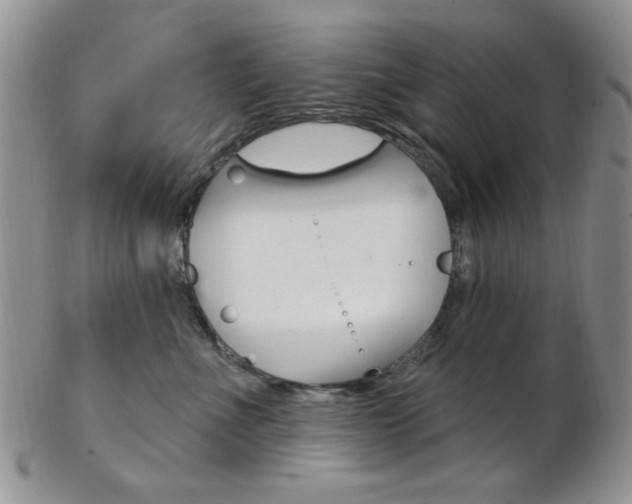 X0000103170523200808221131