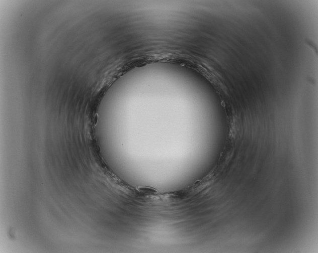 X0000103170524200808221131