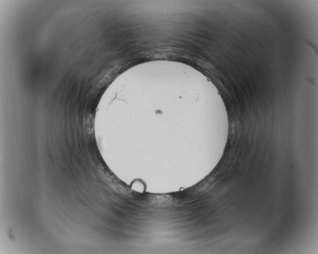 X0000103170525200808221131
