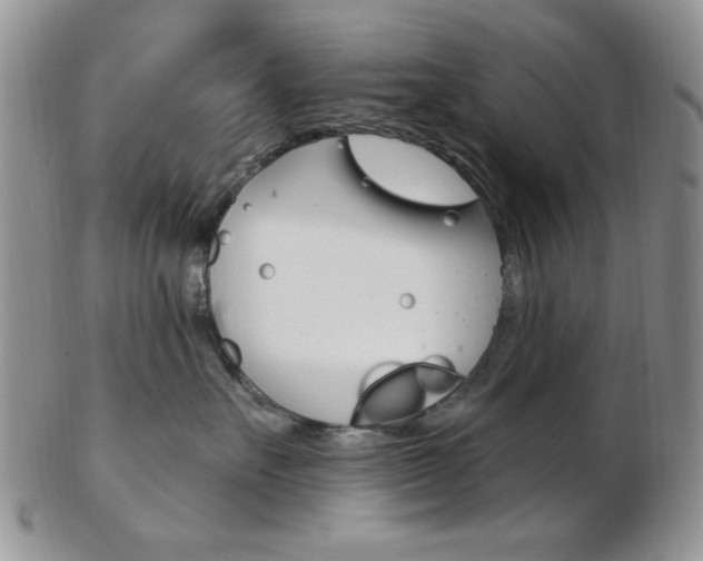 X0000103170527200808221131