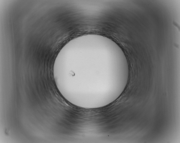 X0000103170528200808221131