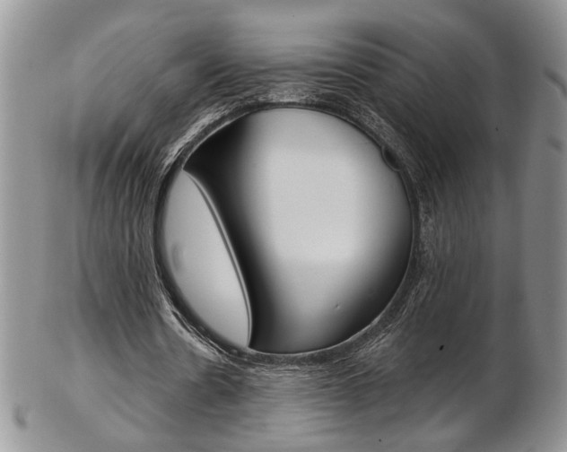 X0000103170530200808221130