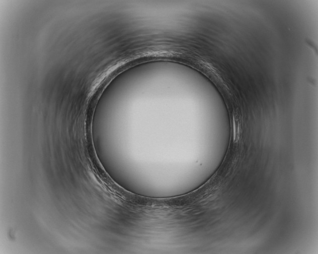 X0000103170531200808221130