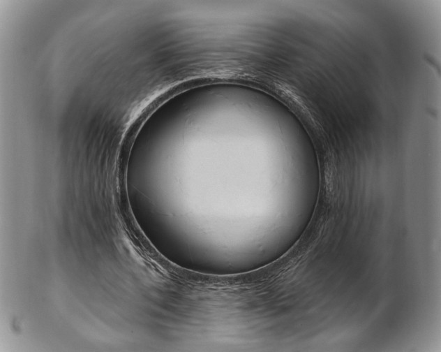 X0000103170532200808221130