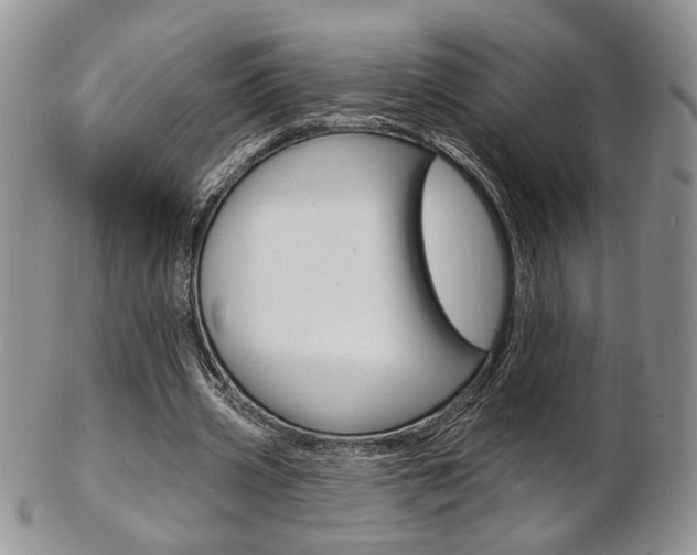 X0000103170533200808221130