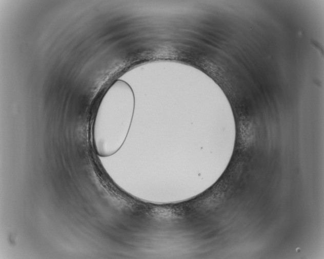 X0000103170534200808221130