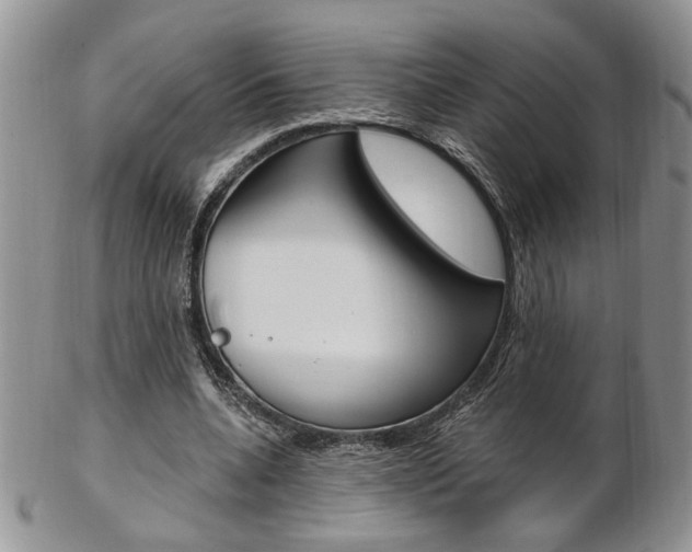X0000103170536200808221130