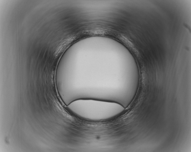 X0000103170537200808221130