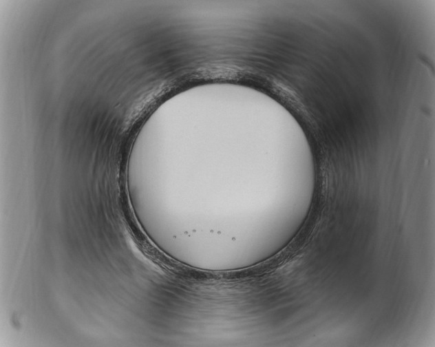 X0000103170538200808221130