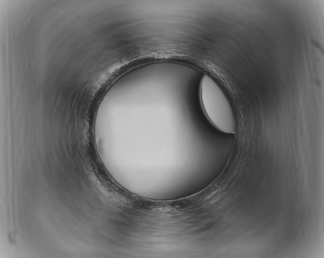 X0000103170540200808221130