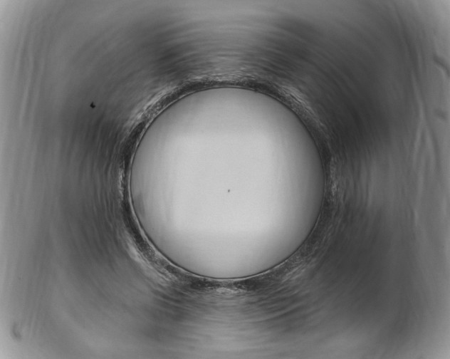 X0000103170542200808221130