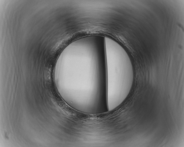 X0000103170543200808221130