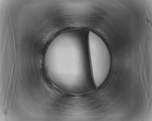 X0000103170544200808221130