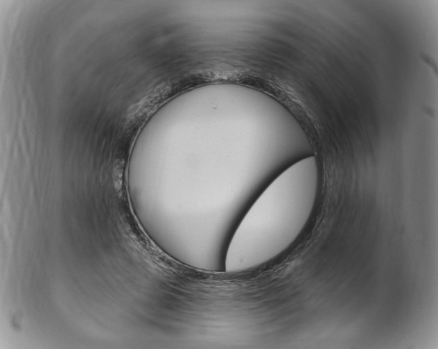 X0000103170545200808221130