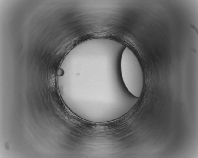 X0000103170549200808221130