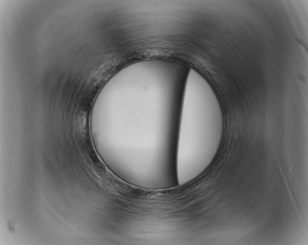 X0000103170550200808221130