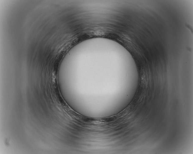 X0000103170555200808221131