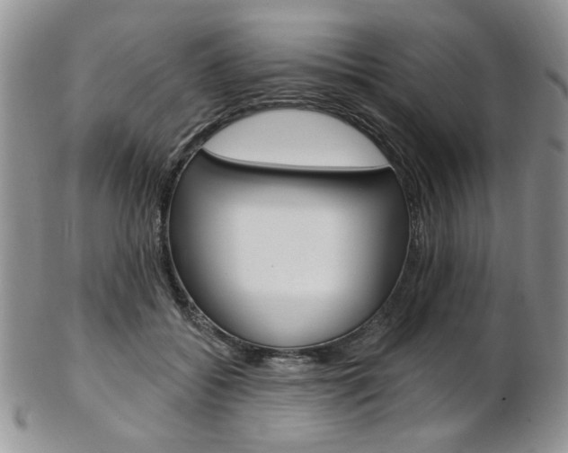 X0000103170556200808221131