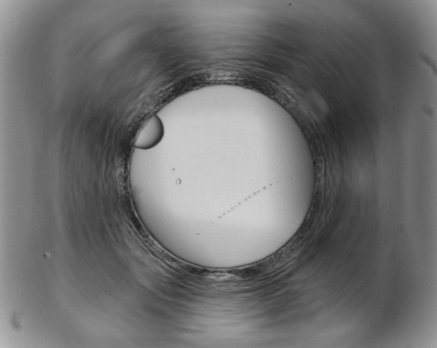 X0000103170557200808221131