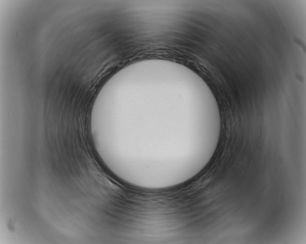 X0000103170558200808221131