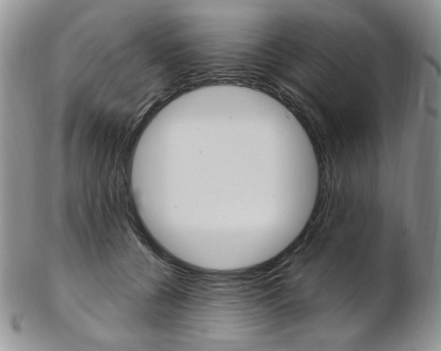 X0000103170560200808221131