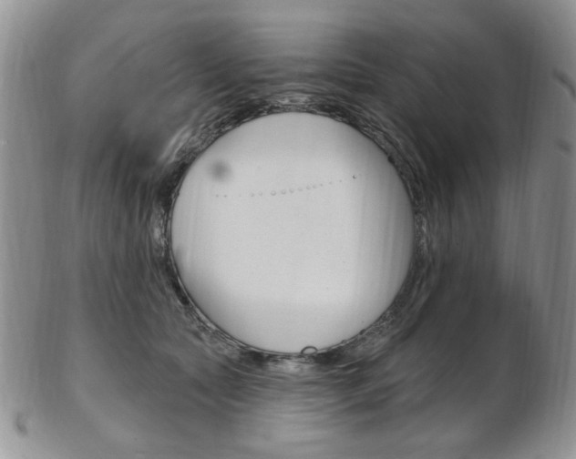 X0000103170561200808221131