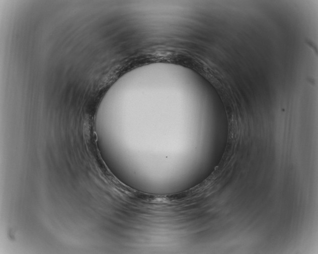 X0000103170562200808221131