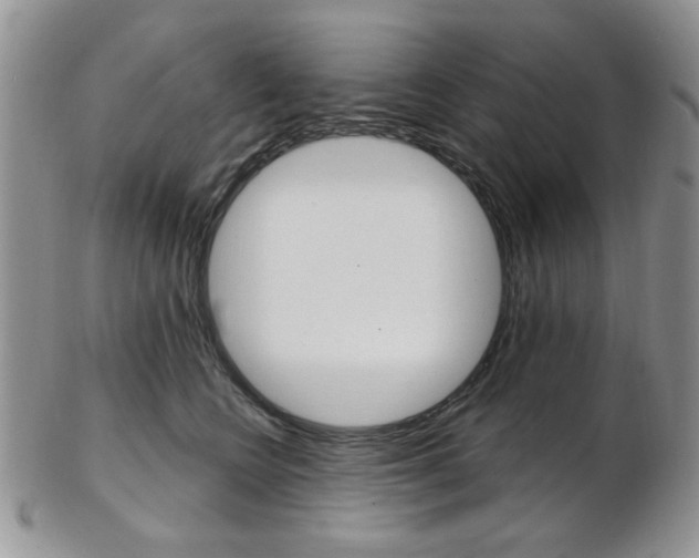 X0000103170566200808221131
