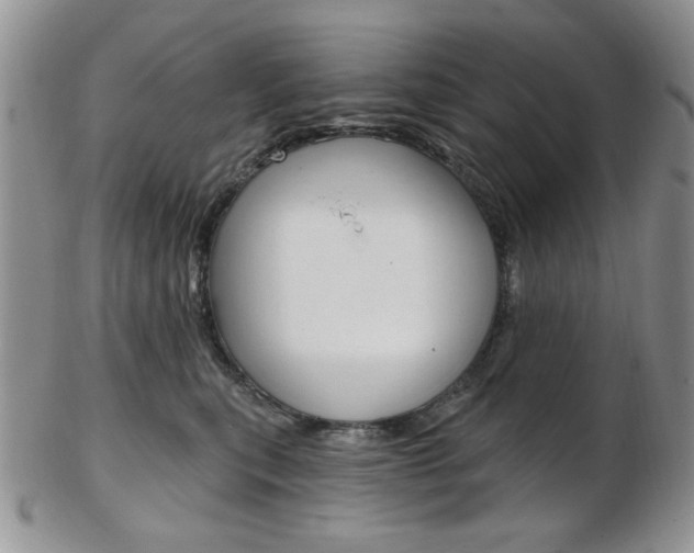 X0000103170567200808221131