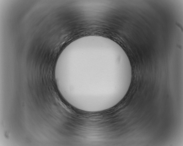 X0000103170568200808221131