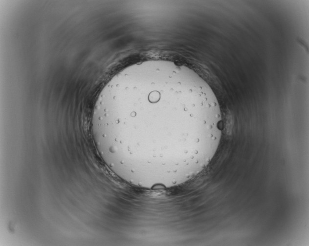 X0000103170569200808221131