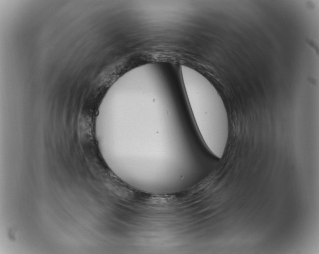 X0000103170571200808221131