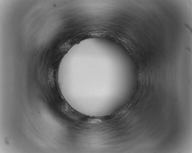 X0000103170572200808221131