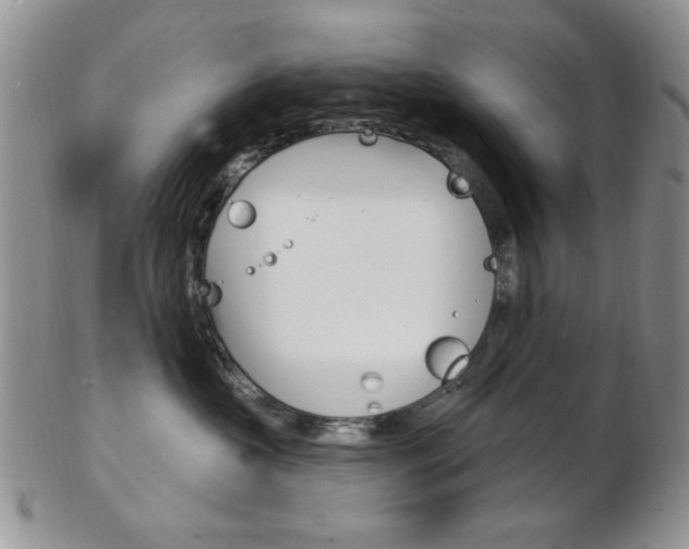 X0000103170573200808221131