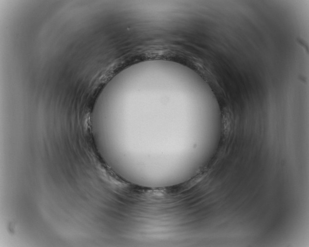 X0000103170574200808221131